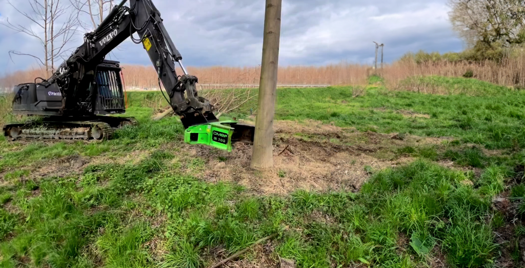 OMEF tree shear